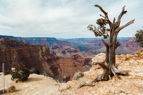 Grand Canyon South Rim © Fotoluminate LLC