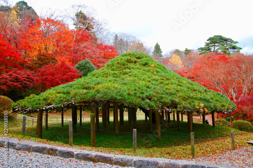 秋の霞ヶ城公園（福島県・二本松市）