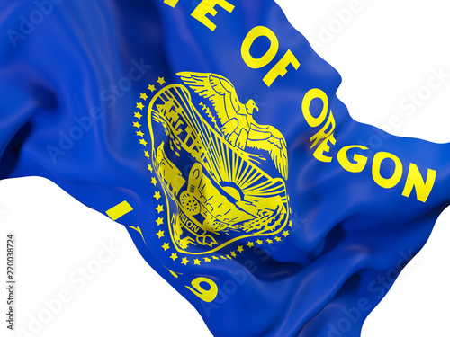 oregon state flag close up. United states local flags