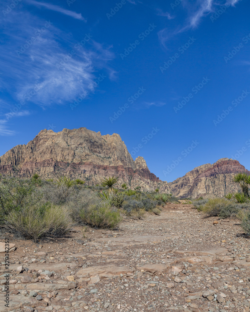 Fototapeta premium Red Rock Canyon