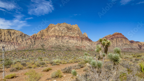 Red Rock Canyon