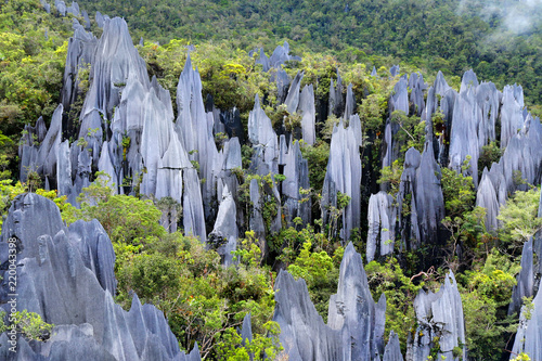 Pinnacles in Mulu national parc in Malaysia photo