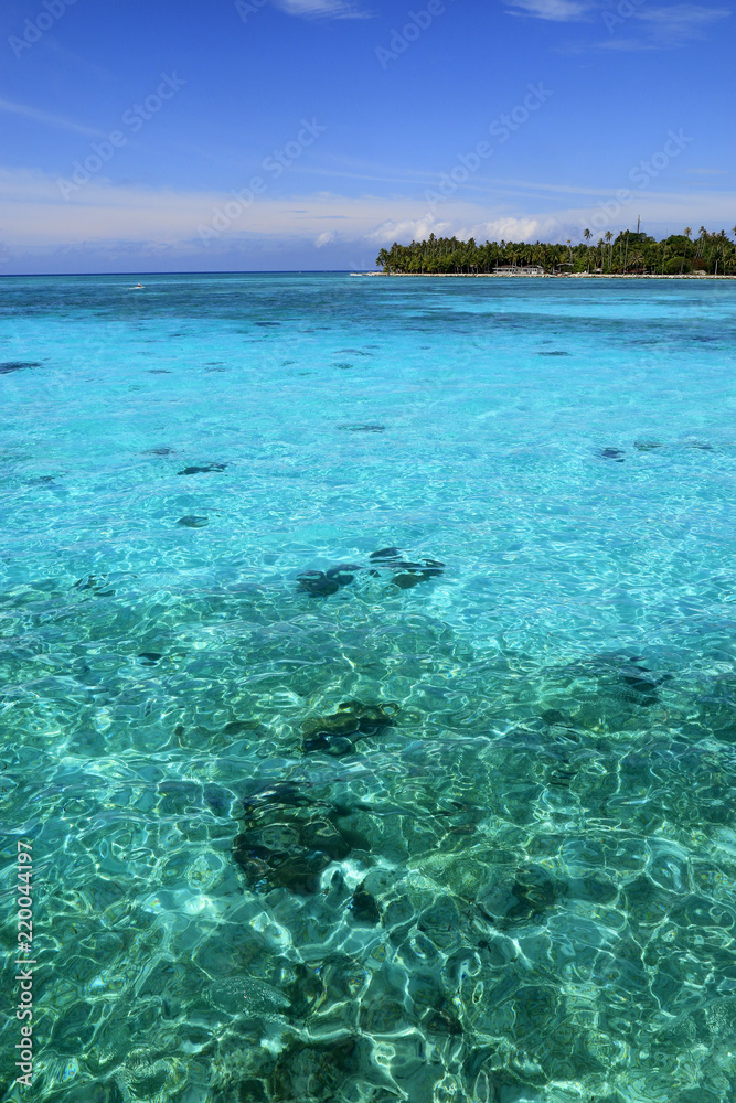 View of tropical island and turquoise water View of tropical island and turquoise water