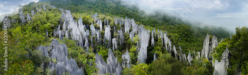 Pinnacles in Mulu national parc in Malaysia photo