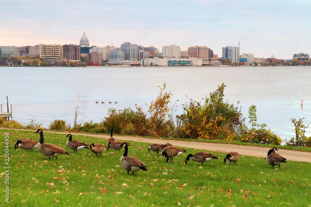 Madison downtown skyline with state capitol building dome from Olin