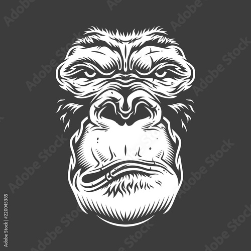 Face of gorilla isolated on white
