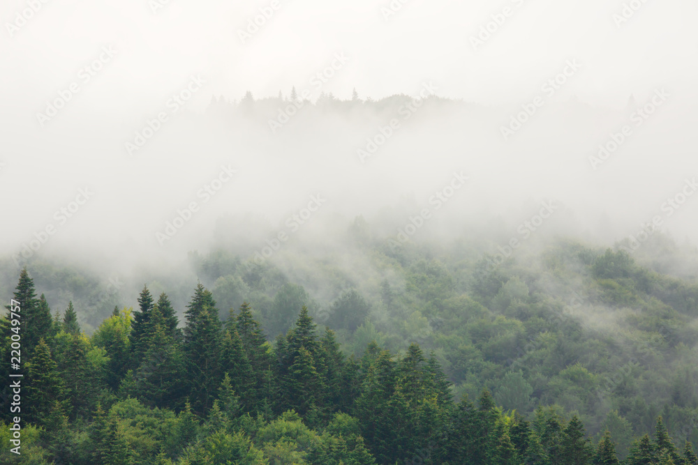 Fog over mountains covered with woods, natural outdoor background