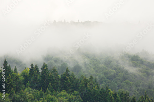 Fog over mountains covered with woods, natural outdoor background