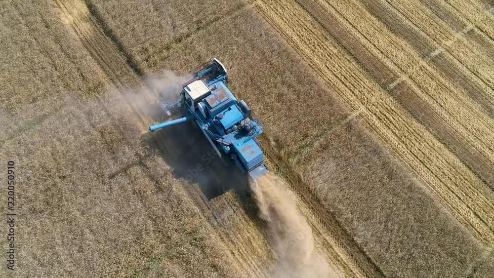 Harvester at work. Harvesting on the field in Siberia Harvester at work. Harvesting on the field in Siberia