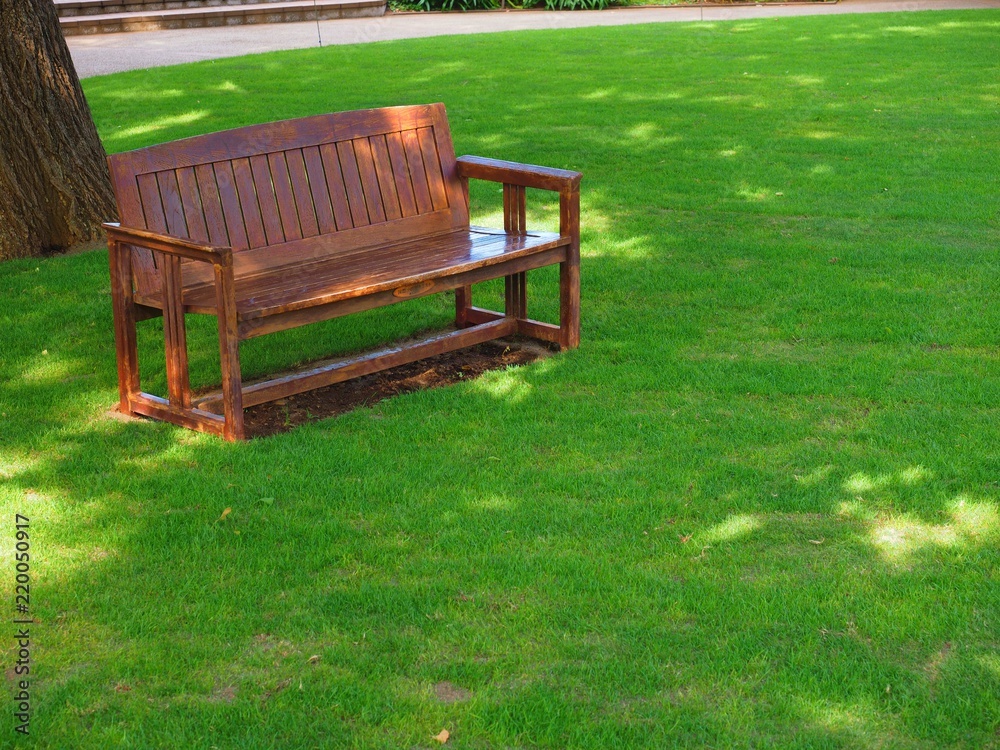 bench in the shade of tree