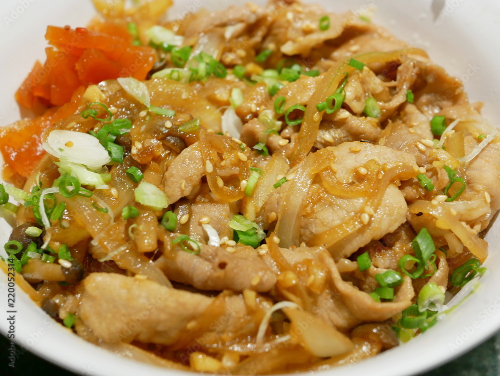 Close up of Kurobuta Don: Japanese pork stewed with soy sauce topped on rice Close up of Kurobuta Don: Japanese pork stewed with soy sauce topped on rice