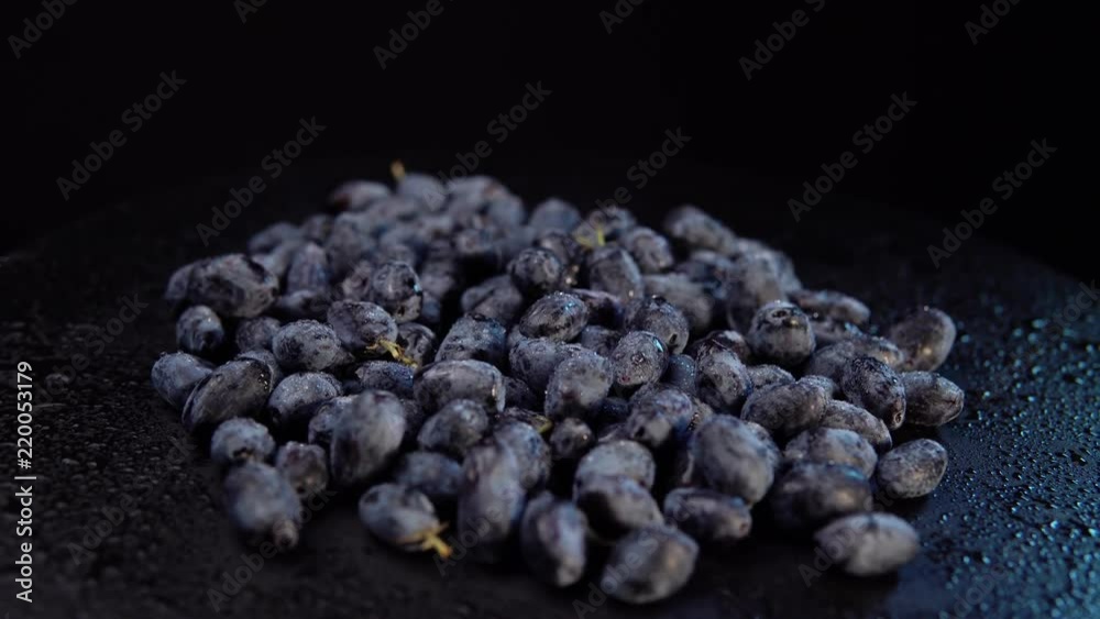 Dark ripe honeysuckle berries rotate counter-clockwise against a black background, close-up. Dark ripe honeysuckle berries rotate counter-clockwise against a black background, close-up.