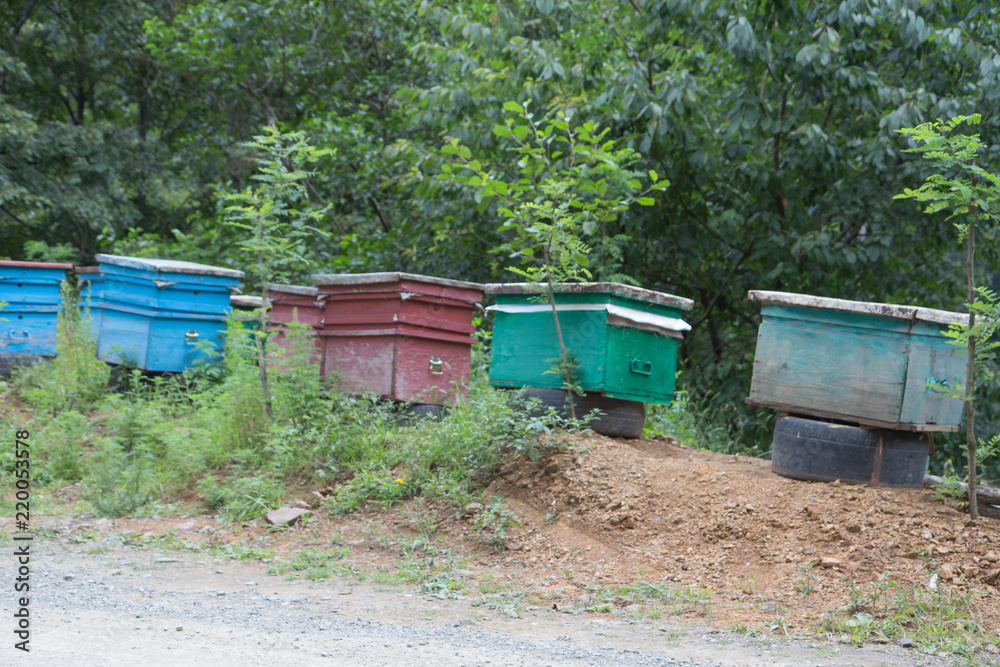 Wooden colorful beehives in a row are placed on tire construction lifted off the ground Wooden colorful beehives in a row are placed on tire construction lifted off the ground