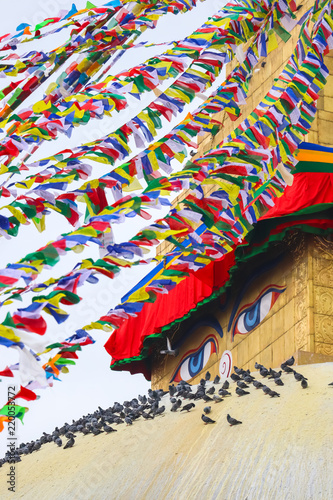 Boudhanath Stupa surrounded by pigeons. © asiraj