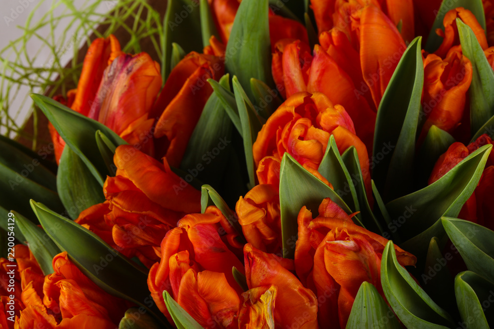 Fototapeta premium Orange tulips bouquet