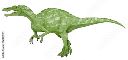 バリオニクス・ウォーケリ。バリオニクス(重々しい爪）、白亜紀前期の獣脚類。スピノサウルス類の特徴的な細長い口吻を持つ。歯は細く鋭い。魚食性の捕食者。イギリスで発見された。昔から緑色で描かれることが多い。3度ほど描いたがこの作品はいちばん最近のもの。オリジナルイラスト画像。