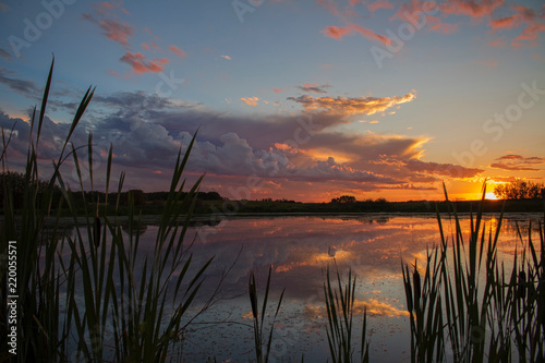 Fototapeta Naklejka Na Ścianę i Meble -  Beautiful sunset over a duck pond in Cold Lake, Alberta Canada