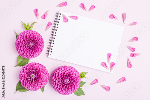 Fototapeta Naklejka Na Ścianę i Meble -  Dahlia ball-barbarry flowers and petals with green leaves and buds.