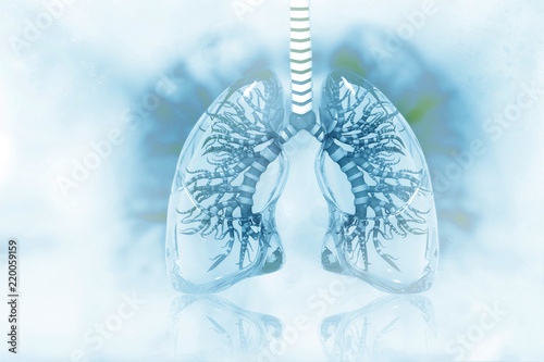 Human lungs on scientific background photo