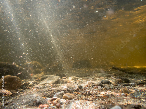 Sunbeams lighting gravel on lake bottom