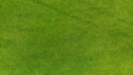 Aerial. Green grass texture background.