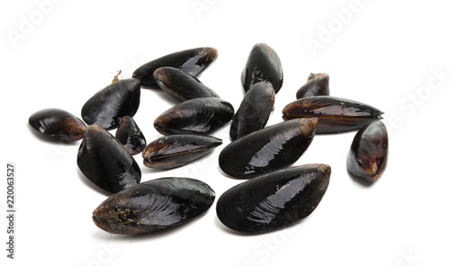 mussels isolated