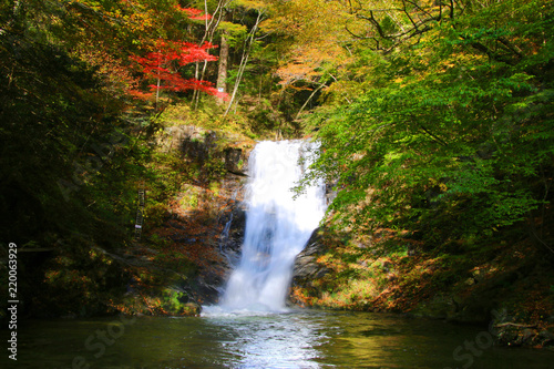 背戸峨廊・夏井川の支流（福島県・いわき市） photo