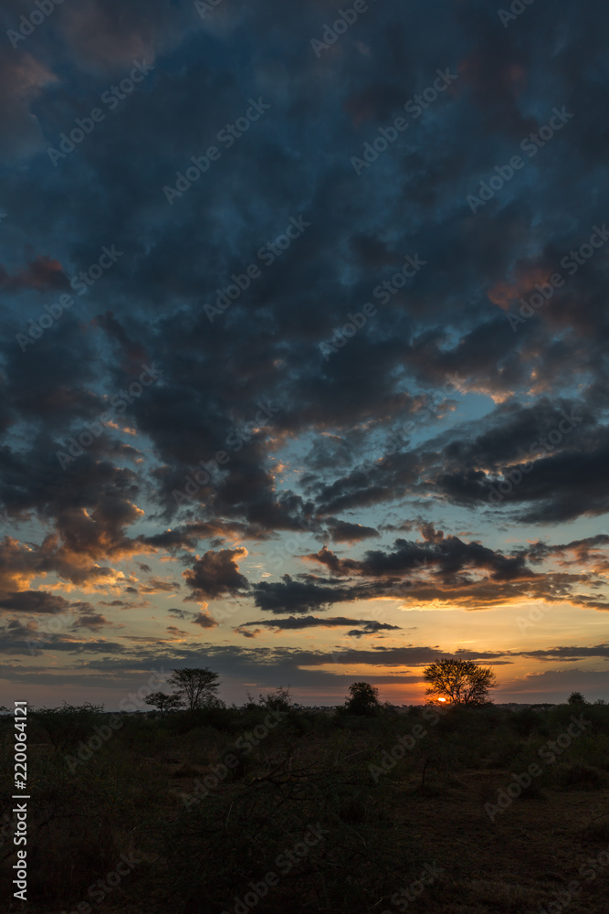 Gewitterwolken über der Serengeti