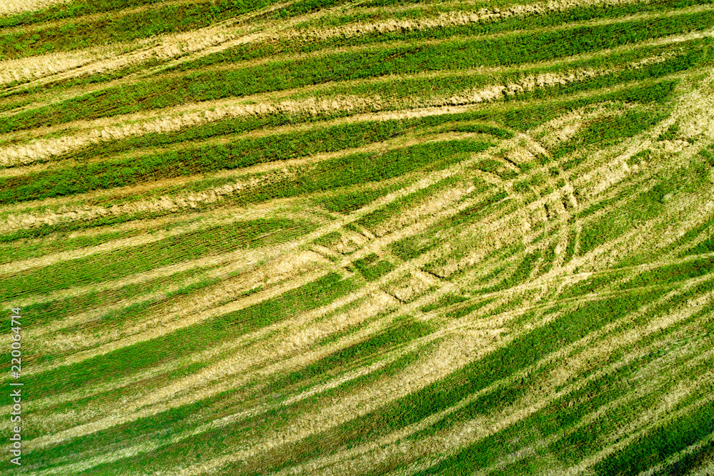 Beautiful landscape, spring nature. View from above of sunny fields on rolling hills in Tuscany, Italy Beautiful landscape, spring nature. View from above of sunny fields on rolling hills in Tuscany, Italy