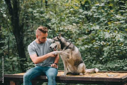 cynologist holding paw of obedient husky dog