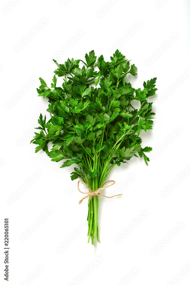 A bunch of parsley isolated on white background. Green fresh, ecological parsley bound by a  eco rope.