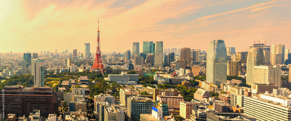 Fototapeta premium Panorama view of Tokyo skyline at sunset , Japan