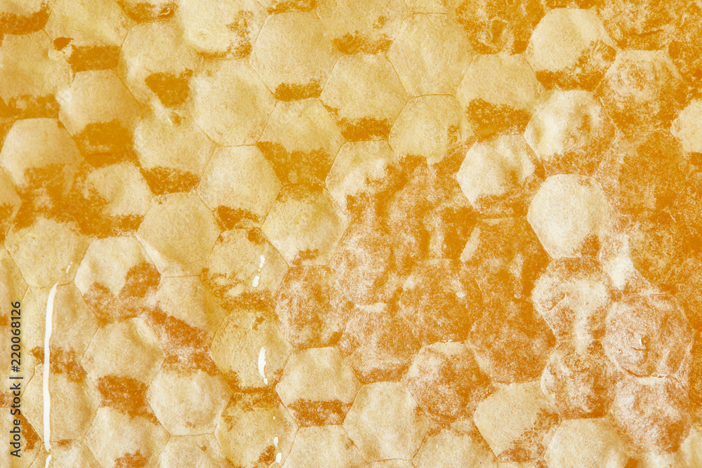 full frame of organic beeswax with honey as background full frame of organic beeswax with honey as background