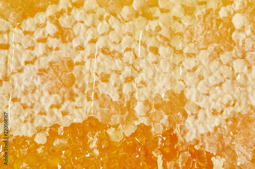 Fotografía full frame of beeswax with honey as background