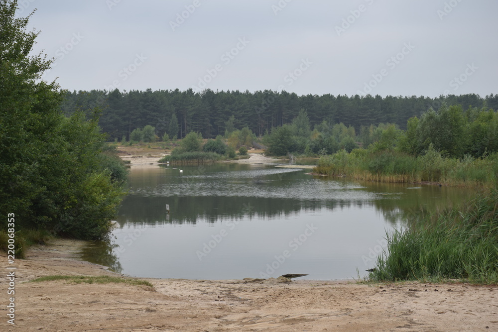 lake with dunes and forest