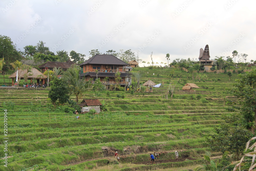 Obraz premium Lombok