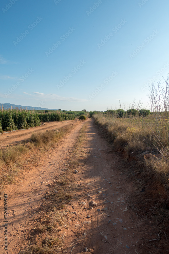 The road to Santiago and the via augusta in Castellon The road to Santiago and the via augusta in Castellon
