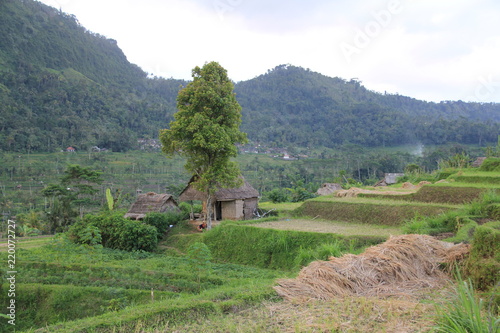 Wallpaper Mural Lombok Torontodigital.ca