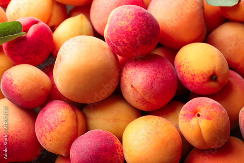 Ripe sweet apricots  closeup