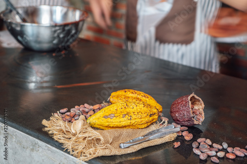Ingredients to make chocolate: cocoa beans, milk, nuts, sugar, cocoa powder