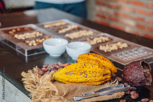 Ingredients to make chocolate: cocoa beans, milk, nuts, sugar, cocoa powder