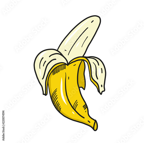 Banana. Hand drawn illustration. Vector illustration. photo