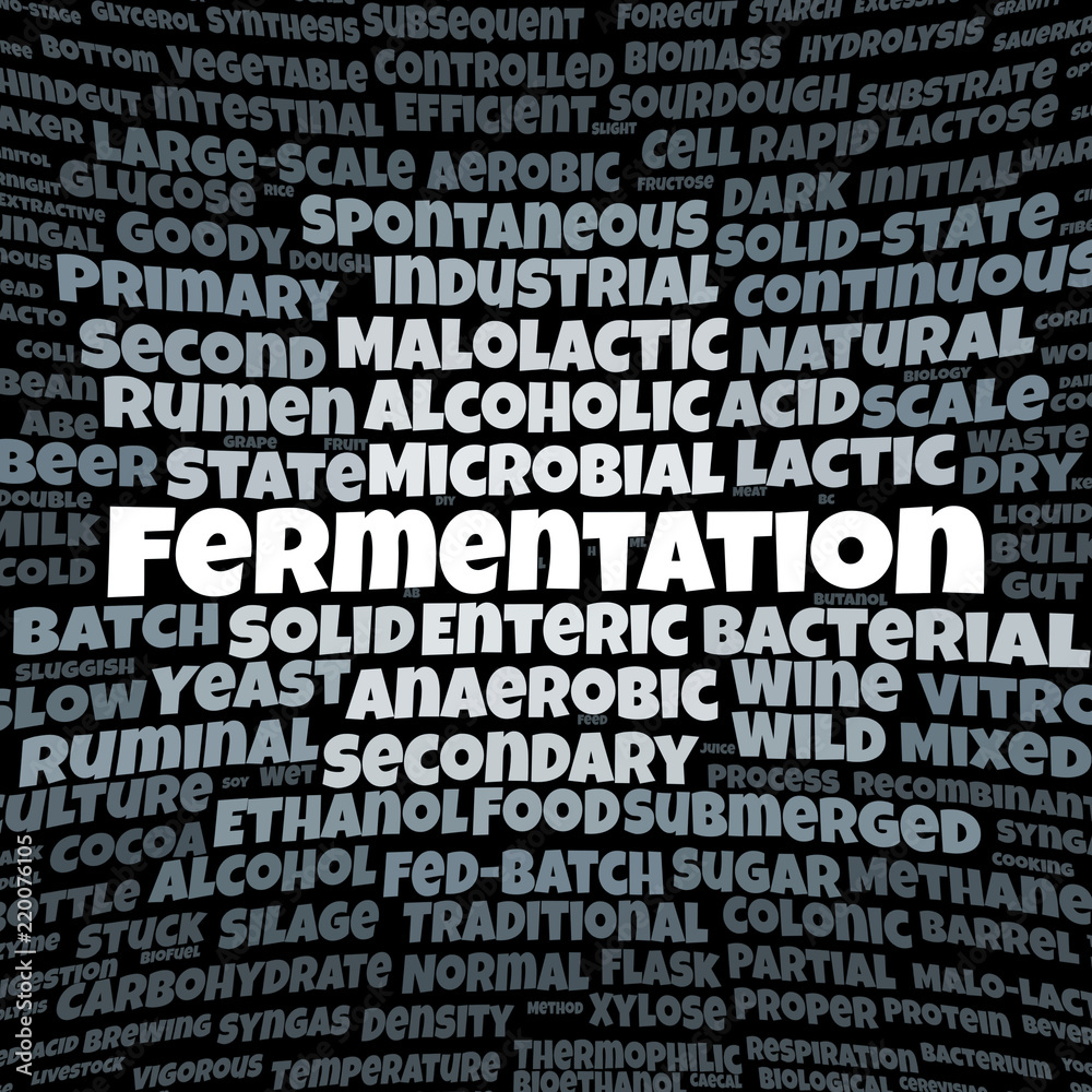 Fermentation word cloud Fermentation word cloud