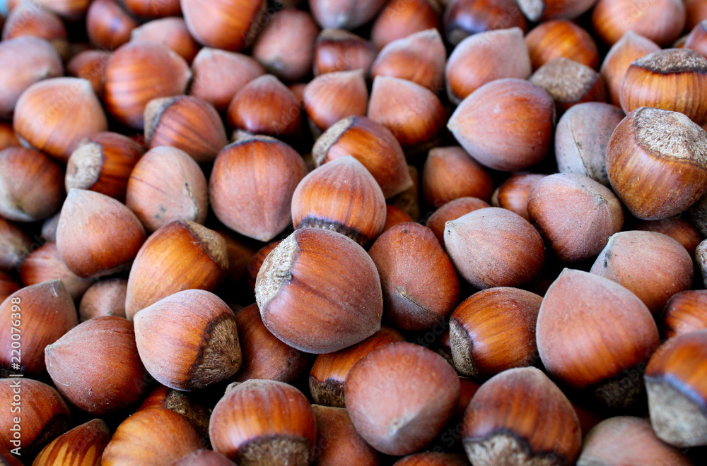 Hazelnuts harvested in the Black sea region Hazelnuts harvested in the Black sea region