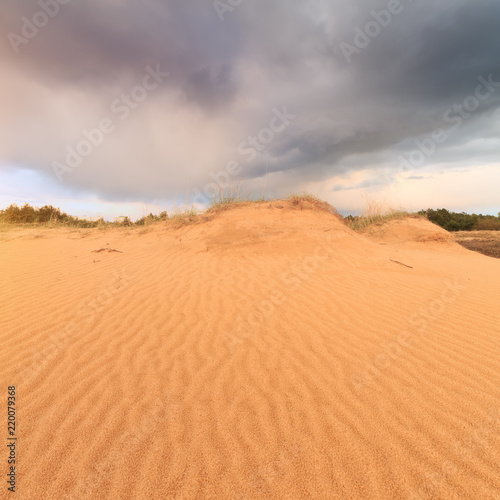 sand dunes in the woods, the storm clouds before sunset