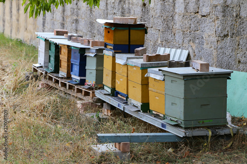A small apiary near the wall © leomalsam