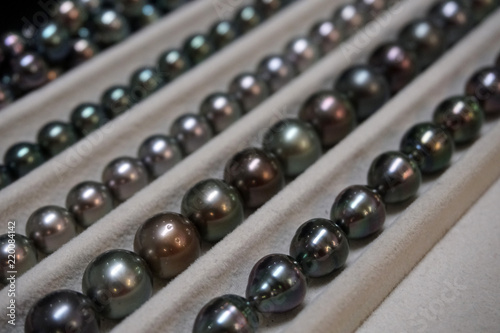 black pearls of french polynesia