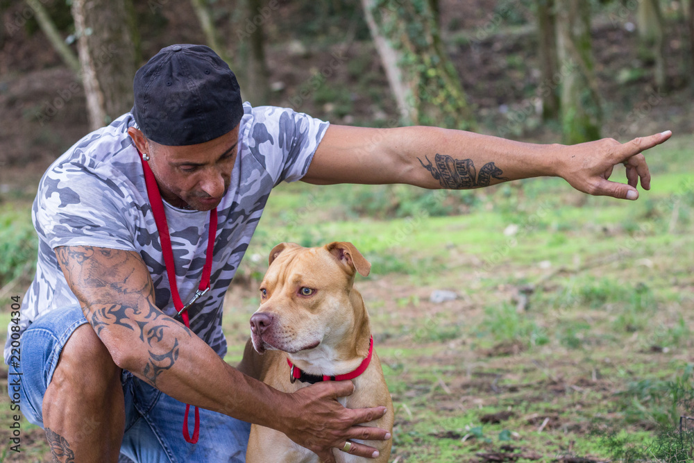 Man trains his pit bull dog outdoors Man trains his pit bull dog outdoors