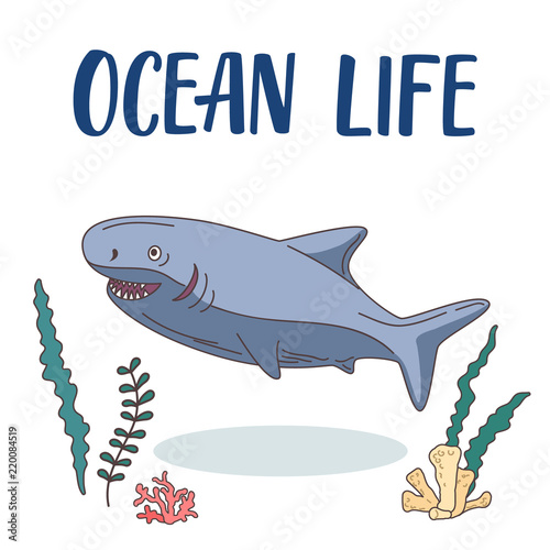 Ocean shark cartoon illustration with seaweeds and corals around.