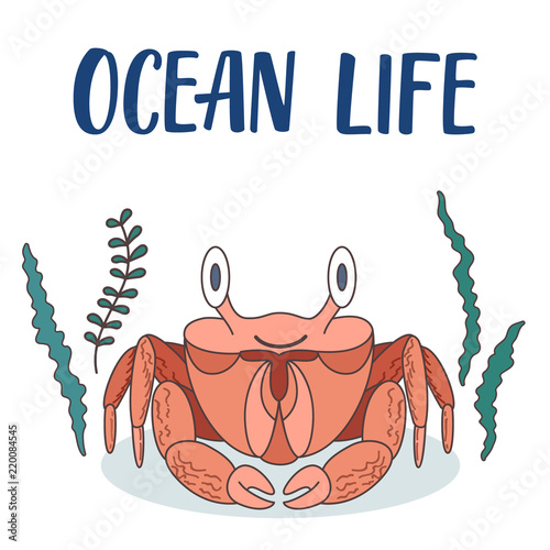 Ocean crab cartoon illustration with seaweeds around.